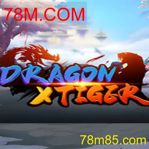 DragonXTiger